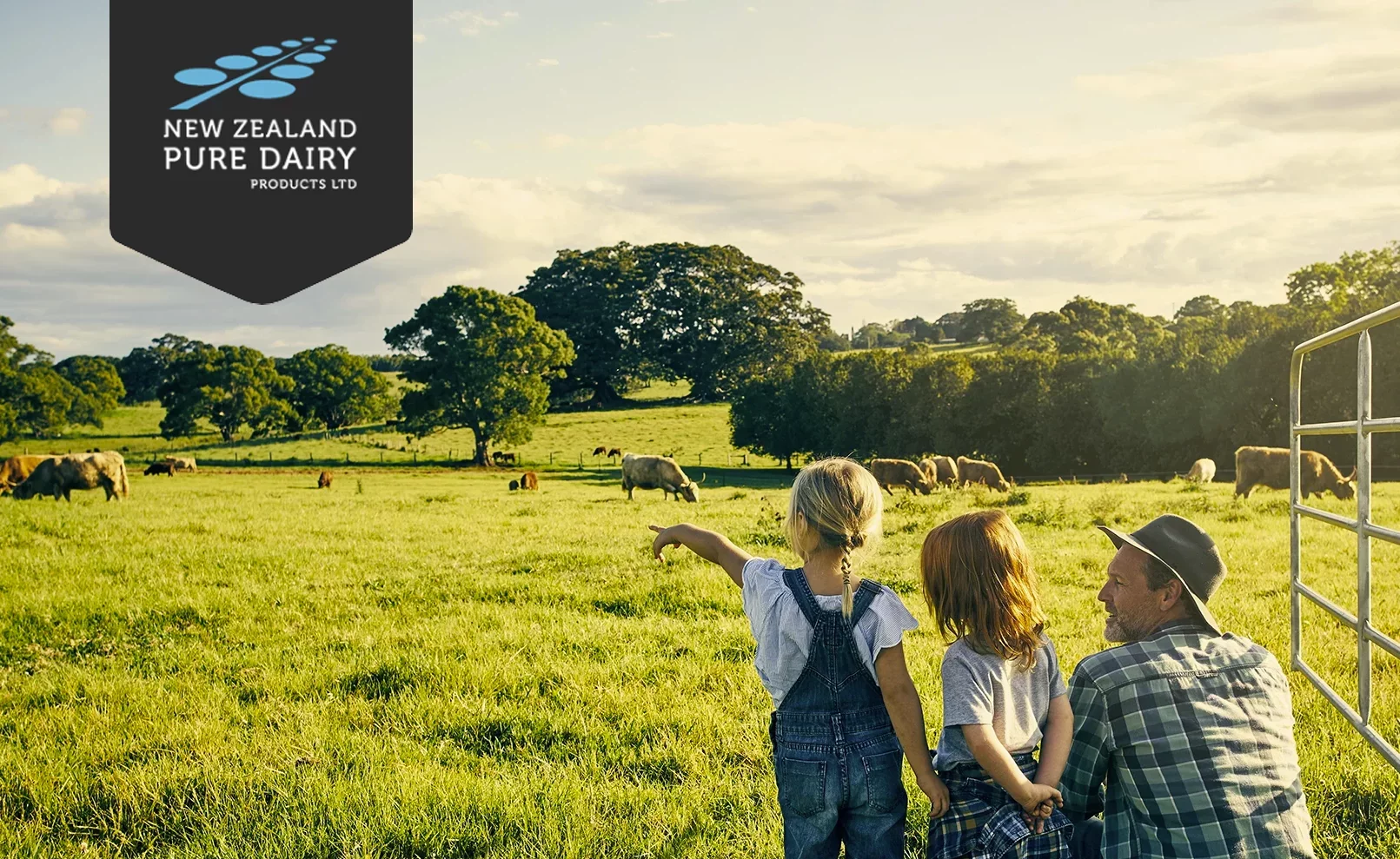 Portfolio - NZ Pure Dairy