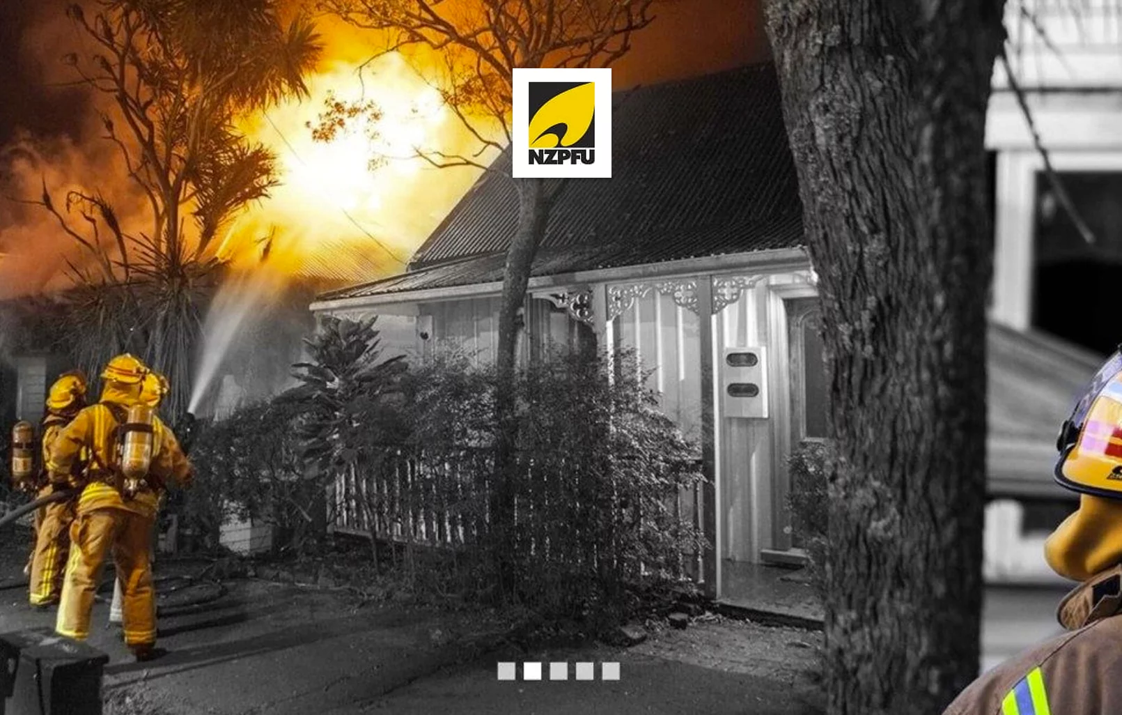 Portfolio - NZPFU